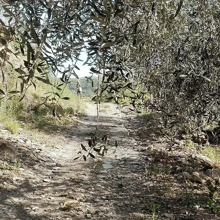 Nyaraló Dimora Tipica Indipendente Con Piscina, Barbecue, Wifi *
